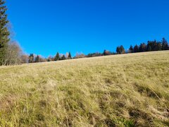 20201107_132425.jpg