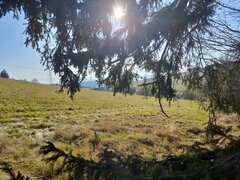 20201107_132740.jpg