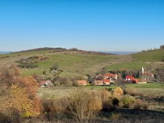 20201107_141027.jpg