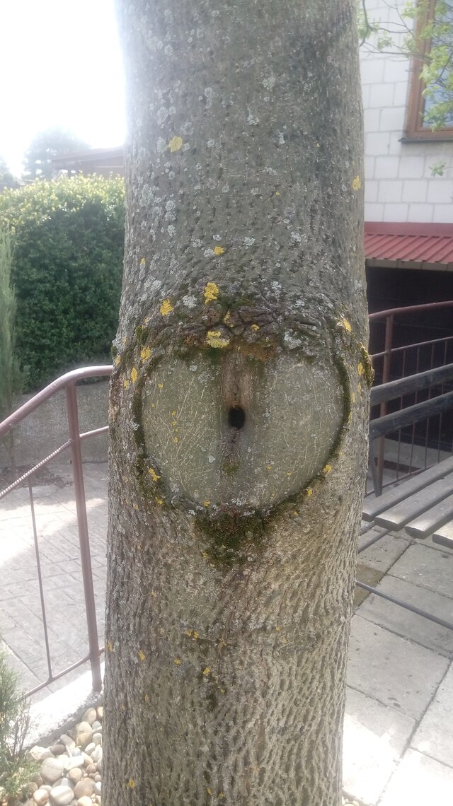 SpokojnyMilyRst