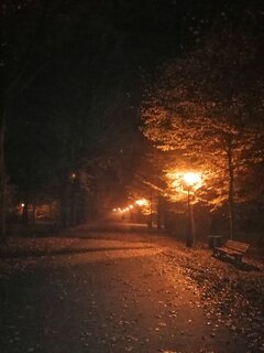 IMG_20201103_184427.jpg