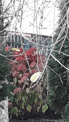 20201108_095949.jpg