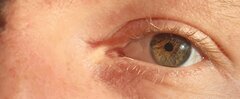 IMG_20201108_142709.jpg