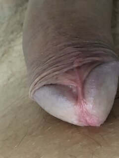 IMG_2231.JPEG