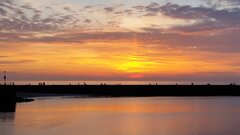 20201108_170046.jpg