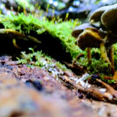 IMG_20201010_133738.jpg