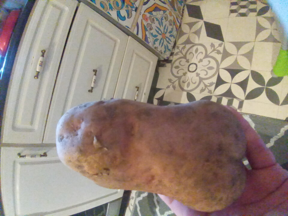 IMG_20201112_135035003.jpg - Dominatorzy69