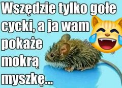 😂