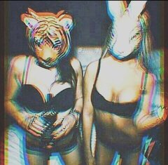 Screenshot_20201115_063119_com.instagram.android~2.jpg