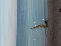 20201115_141142.jpg