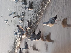 20201115_141348.jpg