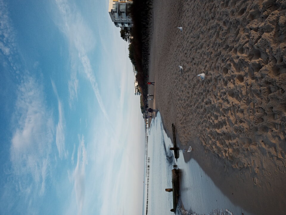 20201115_141404.jpg - Mrowka72