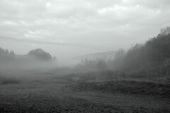 DSC_3831.JPG