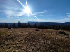 IMG_20201122_105916.jpg