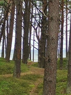 IMG_20200827_114823.jpg