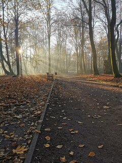 IMG_20201108_075047.jpg