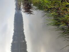 20201128_085540.jpg