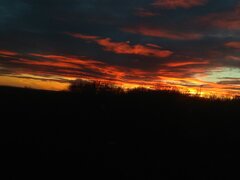 IMG_20201121_162132.jpg