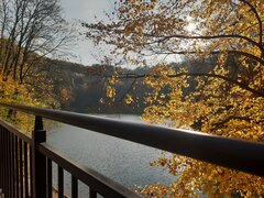 20201115_122324.jpg