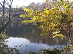 20201115_124157.jpg