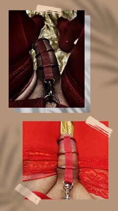 photostudio_1606642014901.jpg