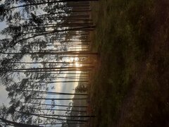 20201130_085115.jpg