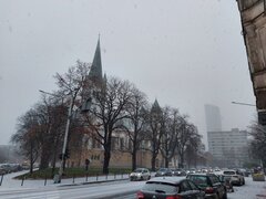 20201203_091159.jpg