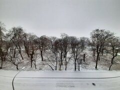 20201203_094249.jpg