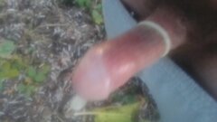 IMG_20201125_152722.jpg