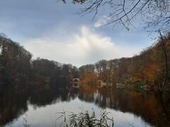 20201115_124742.jpg