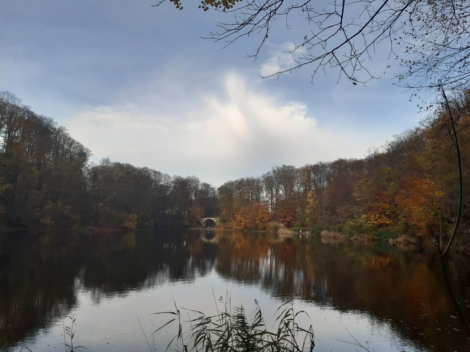 20201115_124742.jpg - torii99