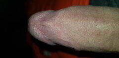 20201205_225034.jpg