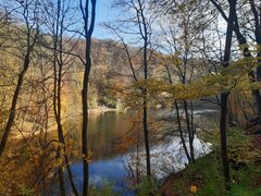 20201115_131836.jpg