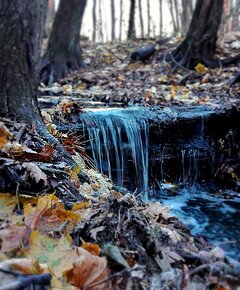 IMG_20201207_143413.jpg