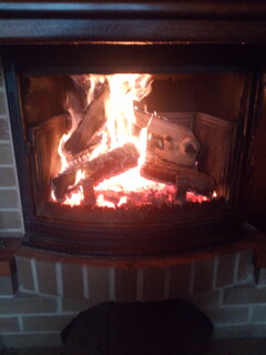 IMG_20201210_123339.jpg