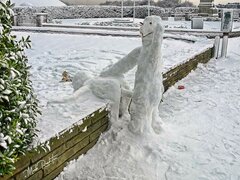 IMG-20201210-WA0000.jpg