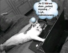 😂