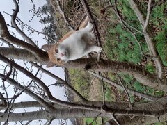 20201213_131459.jpg