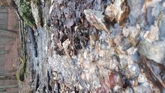 20201216_132414.jpg