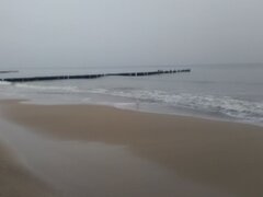 IMG_20201210_123105-horz.jpg