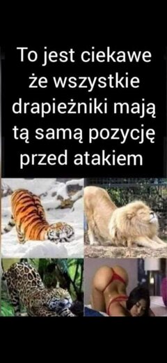 Screenshot_20201217-112331_Gallery.jpg