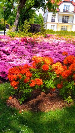 IMG_20200606_121157-EFFECTS.jpg