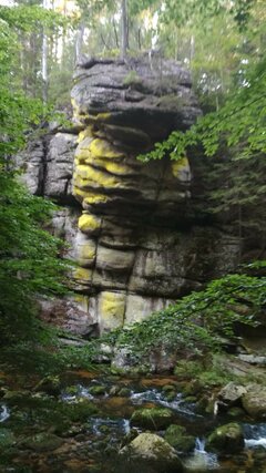 IMG_20200807_175314.jpg