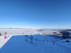 20201219_113803.jpg