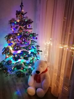 IMG_20201221_200754.jpg