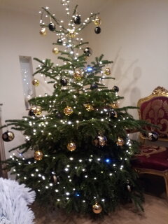 IMG_20201225_151639.jpg