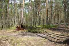 DSC_3332.JPG