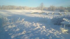 IMG_20201226_092329.jpg