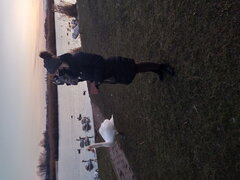 IMG_20201227_154506555.jpg