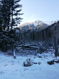 IMG_20201227_130126.jpg